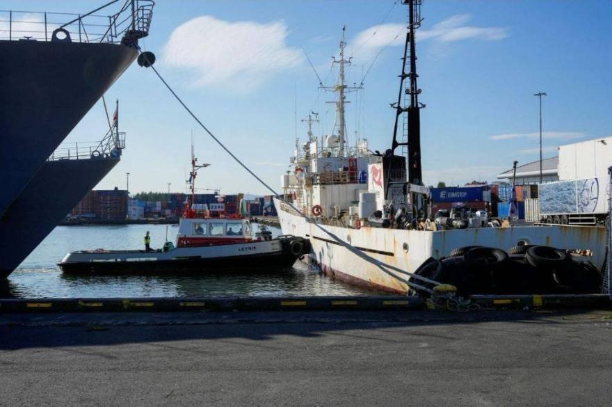 Quatro brasileiros de navio antibaleeiro estão detidos na Islândia e entidades pedem ação do Itamaraty