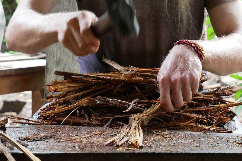 MPF recomenda ao Conad e à Anvisa revisão do tratamento jurídico da ayahuasca e defende afastar a incidência penal do DMT em uso religioso